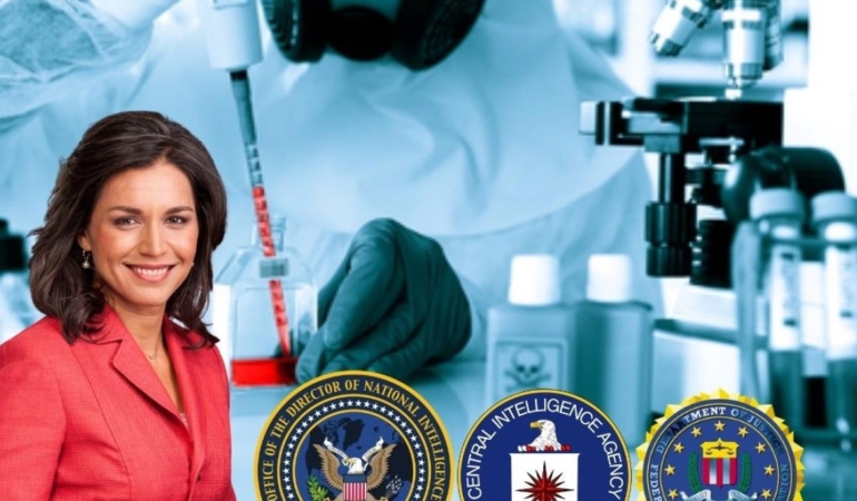 ABD'de İstihbarat Direktörlüğünden istifa eden Tulsi Gabbard, ülkenin 'örtbas edilen' biyoloji laboratuvarlarını ifşa etti