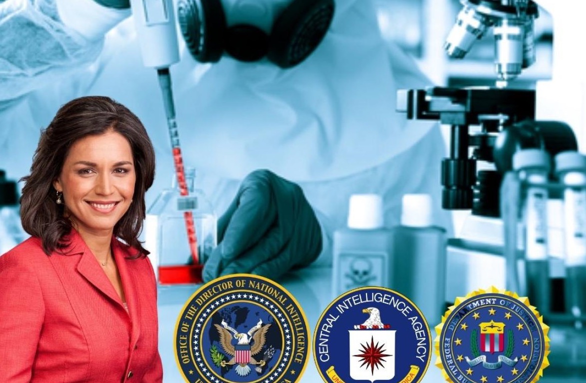ABD'de İstihbarat Direktörlüğünden istifa eden Tulsi Gabbard, ülkenin 'örtbas edilen' biyoloji laboratuvarlarını ifşa etti