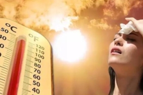 Mayıs ayında sıcaklık rekoru bekleniyor! Meteoroloji uyardı