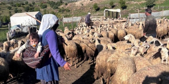 kucukbas-destek-projesi-sonuclari-aciklaniyor-PQWkSgne.jpg