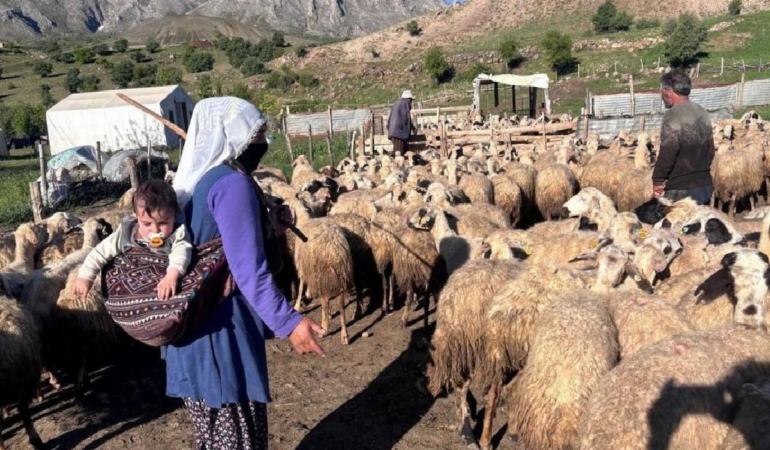 kucukbas-destek-projesi-sonuclari-aciklaniyor-PQWkSgne.jpg