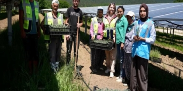 samsunda-ges-sahasinda-agrivoltaik-tarim-uygulamasi-YN7bCUZu.jpg