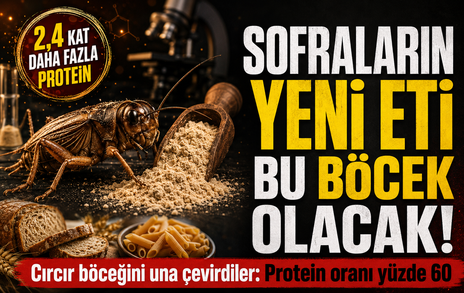 Sofraların yeni eti bu böcek olacak: Una çevirdiler, protein oranı şaşırttı