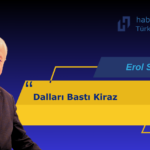 EROL SUNAT