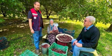 kiraz-bahcelerinde-hasat-oncesi-pestisit-denetimi-77szpOPV.jpg