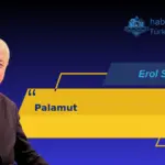 Palamut