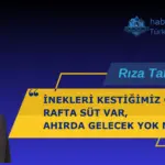 RIZA TAHİR YEL