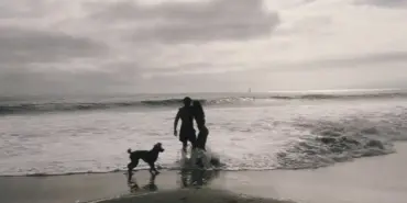 whatsapp-image-20261030-at-125021-1jpeg-H8brejq_uUC1BF45Xe-9JQ